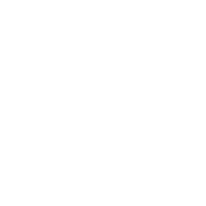 icon alternativmedizin
